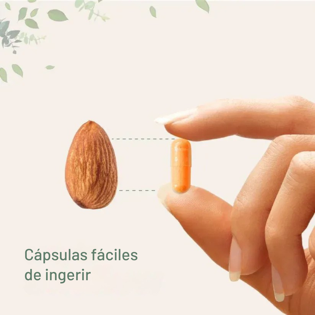 Cúrcuma Pura de Curcumina 95%