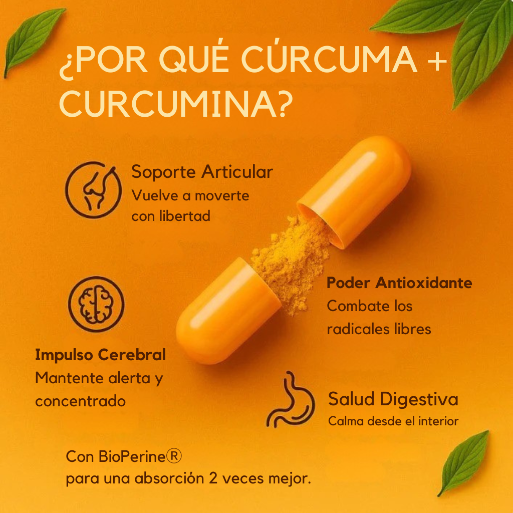 Cúrcuma Pura de Curcumina 95%