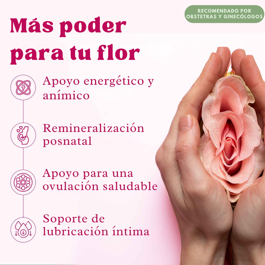 SHE-Lajit Honeysticks: Tu Equilibrio Diario, Delicioso y Natural