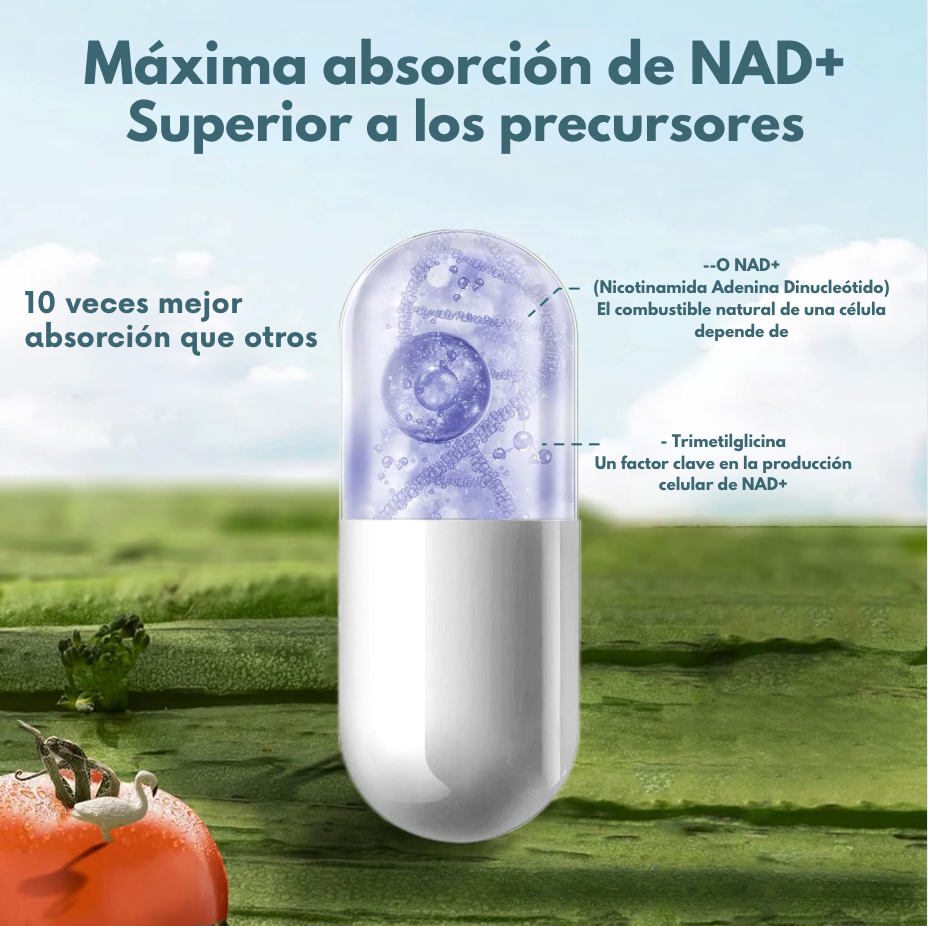 Transforma tu salud y renueva tu energía.