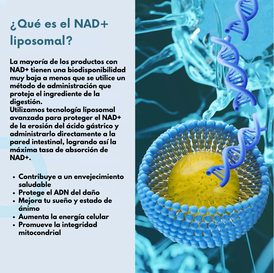 NAD+ Liposomal - Energía Celular y Longevidad en Cada Cápsula