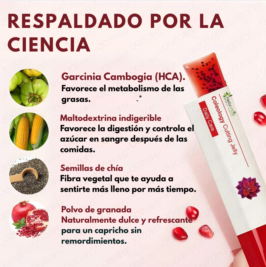 Coleology Cutting Jelly - Tu Snack de Bienestar Digestivo