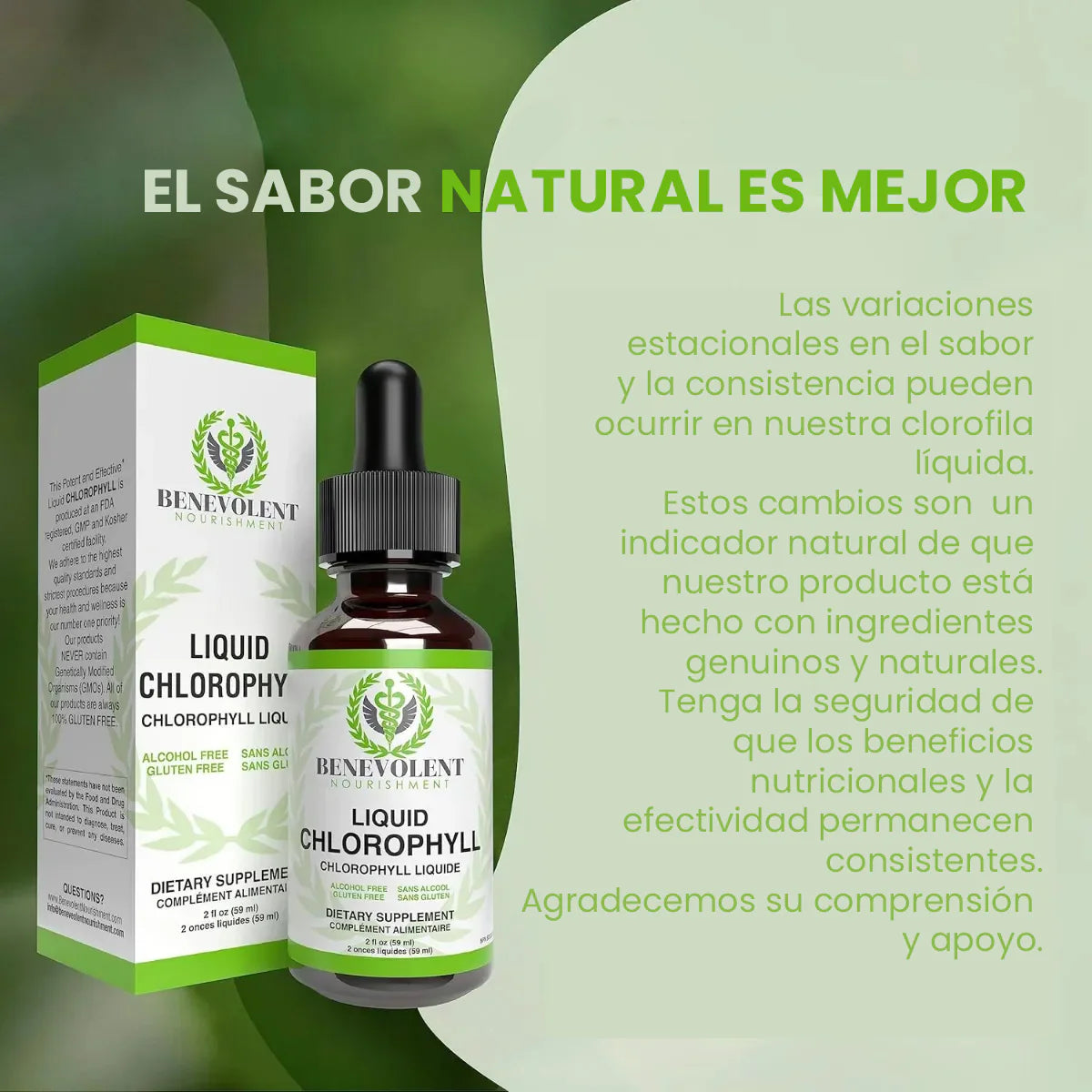 Benevolent Nourishment – El Cambio Natural que tu Bienestar Necesita