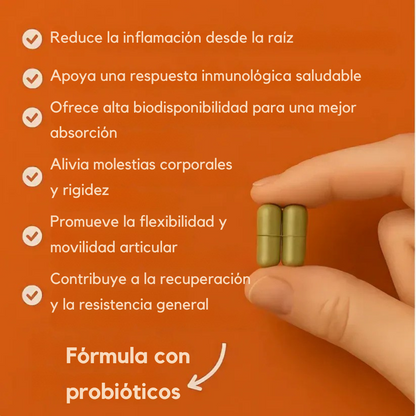 Cúrcuma Pura de Curcumina 95%