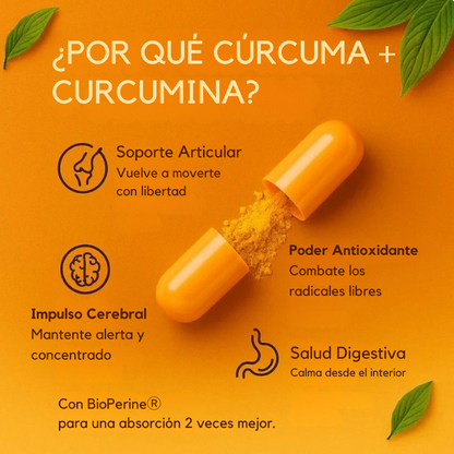Cúrcuma Pura de Curcumina 95%