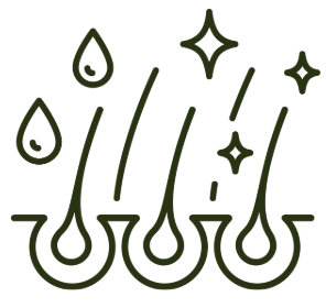 Clean hair follicles and refreshed scalp illustration