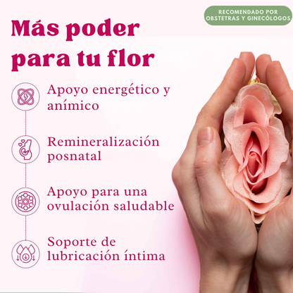 SHE-Lajit Honeysticks: Tu Equilibrio Diario, Delicioso y Natural