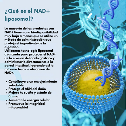 NAD+ Liposomal - Energía Celular y Longevidad en Cada Cápsula