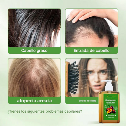 Shampoo BatanaPro™: La Fuerza que Tu Cabello Necesita