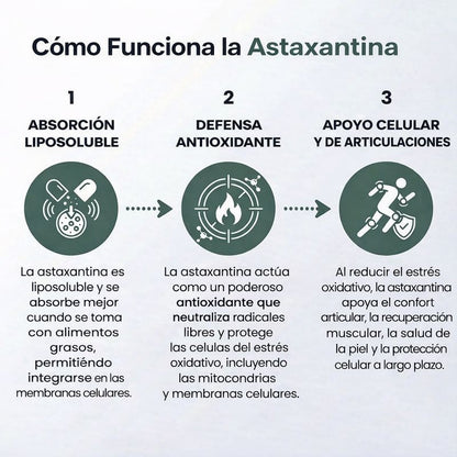 Astaxantina Premium – Antioxidante y Antiinflamatorio Natural