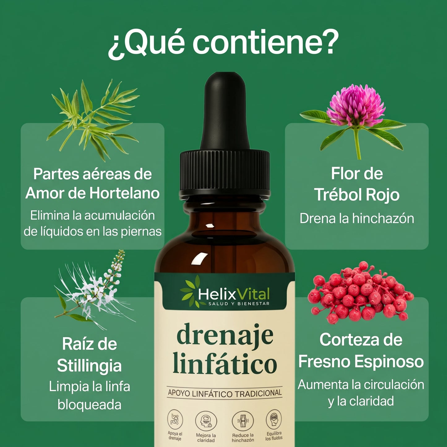 Lymph Drops de HelixVital™ — gotas de drenaje linfático con Cleavers, Bardana, Diente de León, Trébol Rojo y Equinácea.
